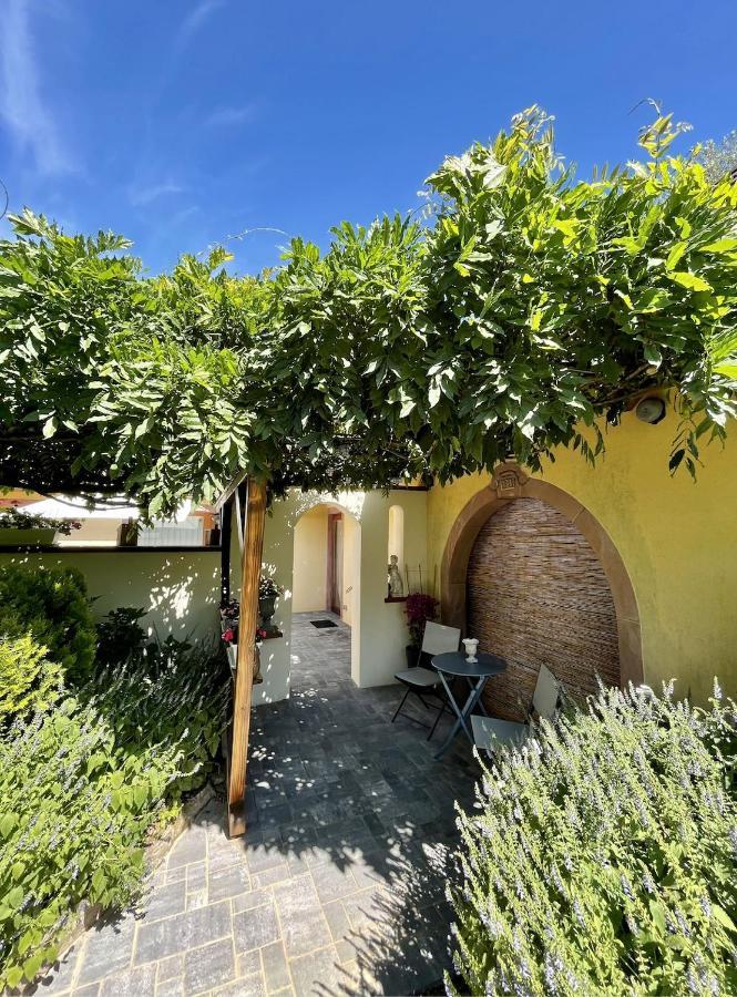 Lo'Gîte L'Allée du Val Lalaye Exterior foto