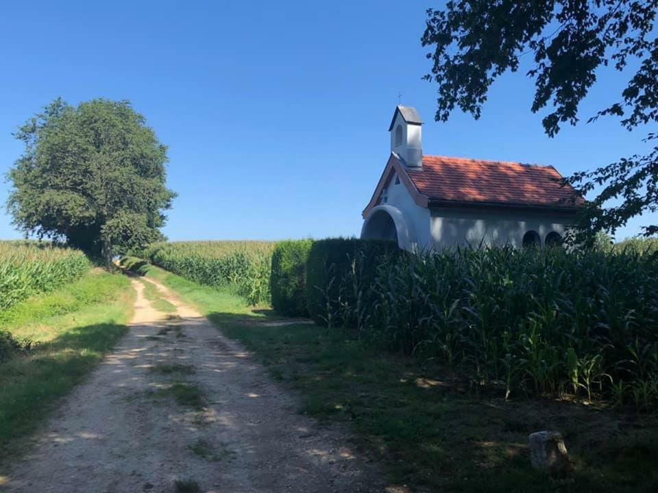 Lo'Gîte L'Allée du Val Lalaye Exterior foto